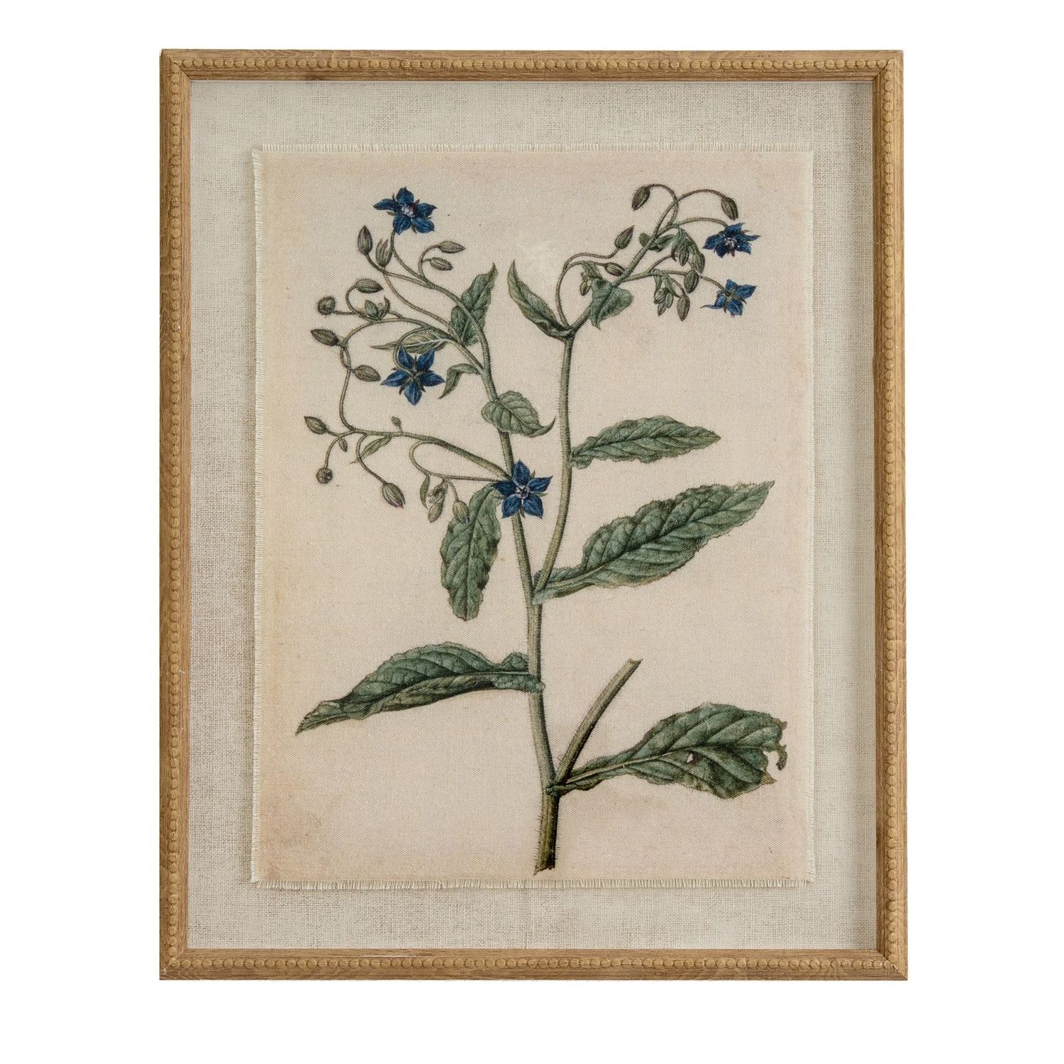 Borage On Linen In Beaded Frame