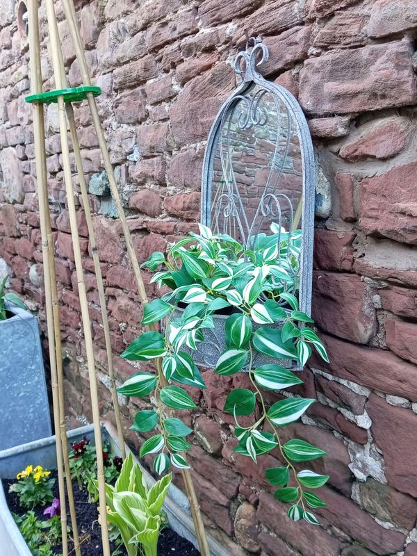 Buckden Mirror + Planter (individually priced)