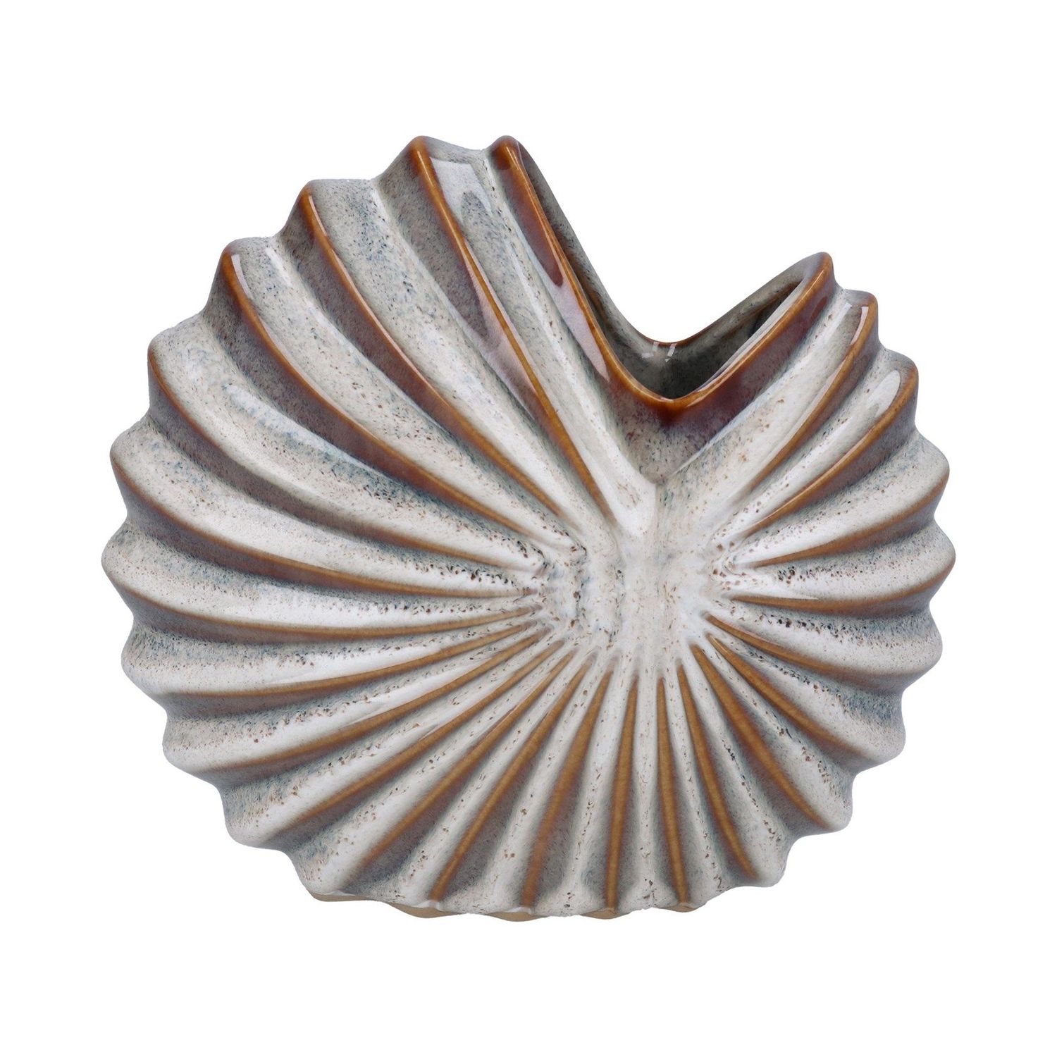 Natural Spiral Shell Vase