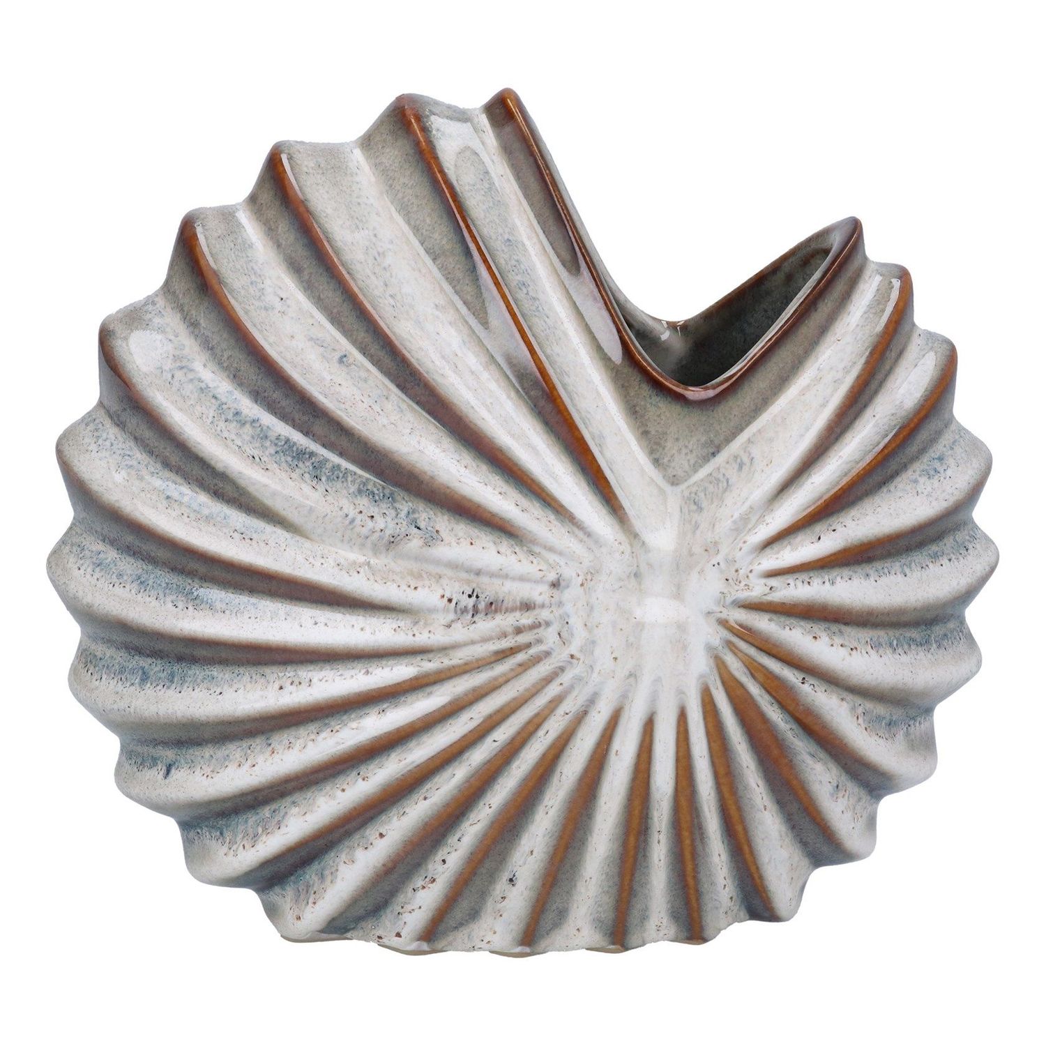 Natural Spiral Shell Vase