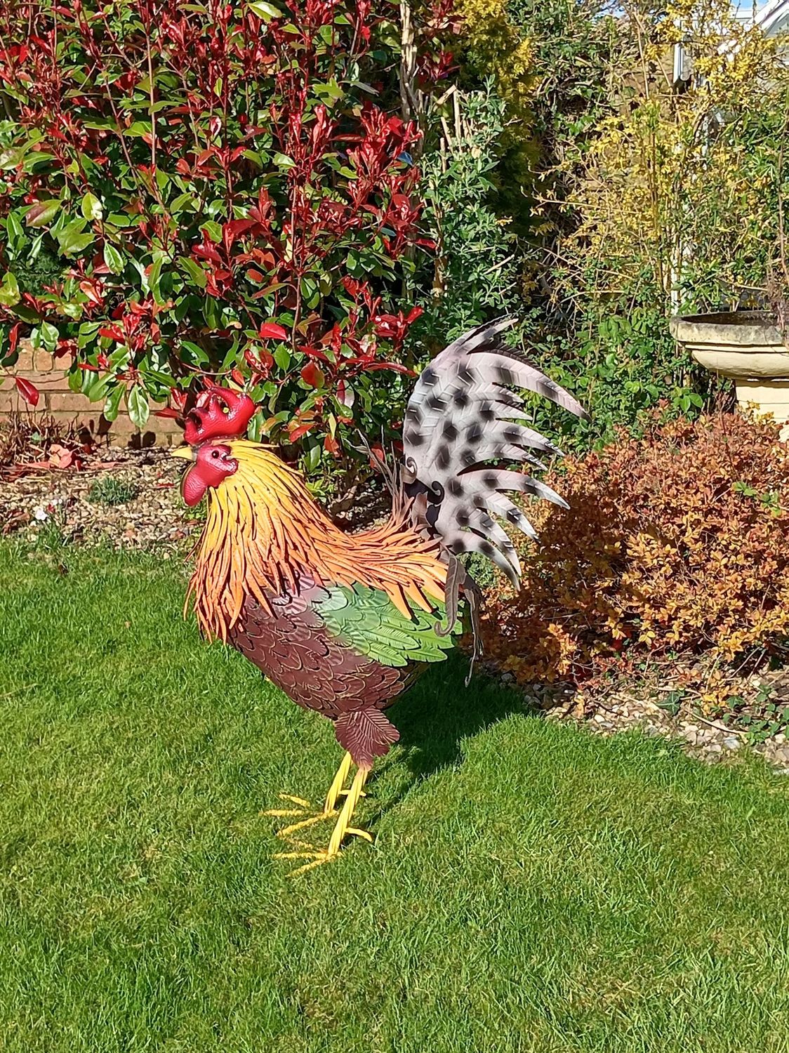 Rooster  Ornament XXL