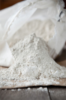 Diatomaceous Earth (DE) 10oz jar