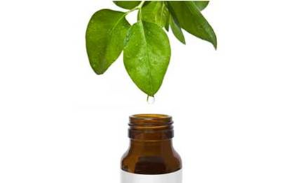 Tea Tree Oil (melaleuca alternifolia)