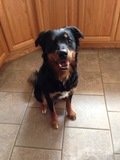 Animal Products (Dogs, Cats, Equine, & Livestock)