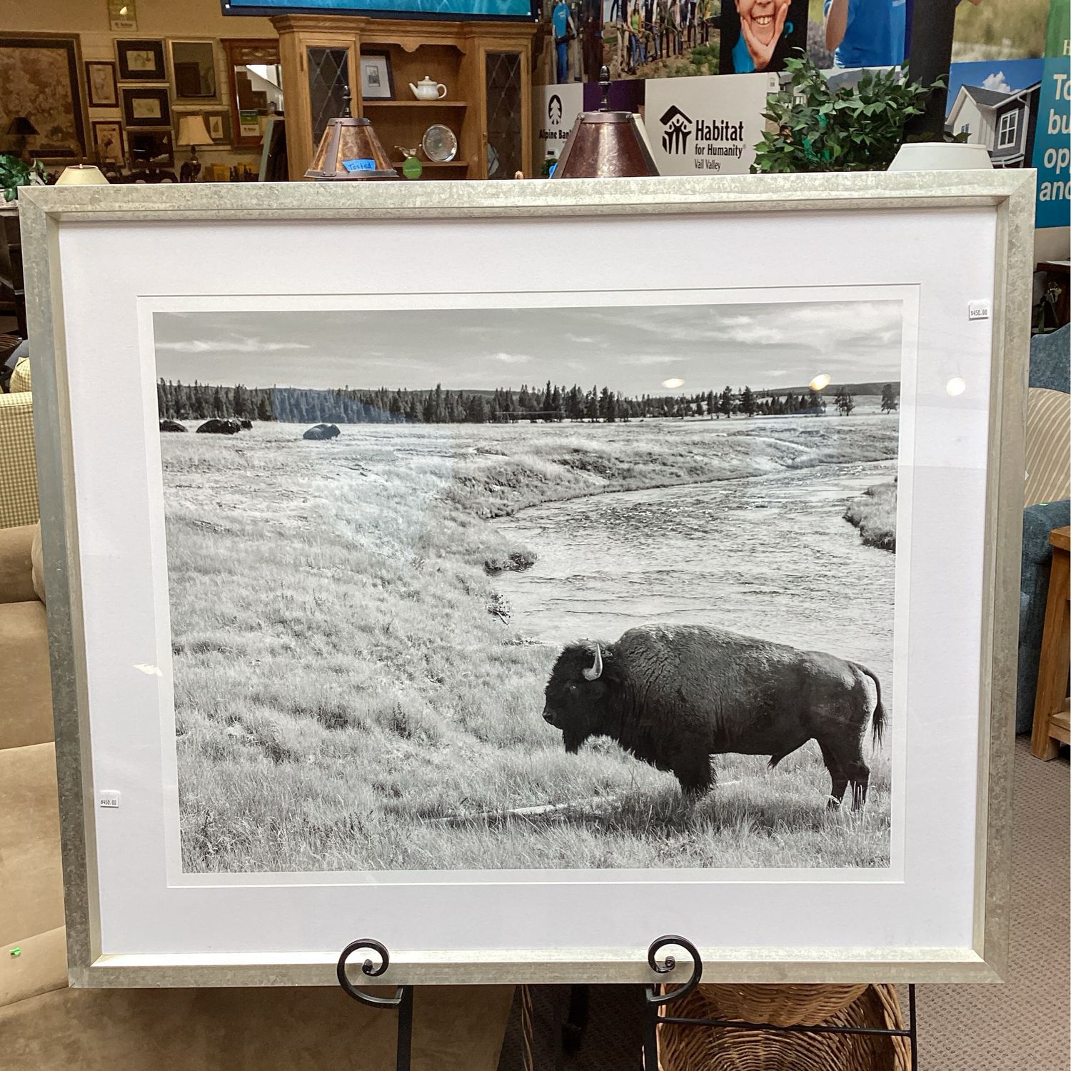 Yellowstone Bison Framed photo