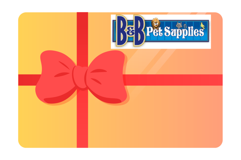b&b pet store