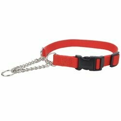 Check Training Adjustable Collar With Buckle Red Dog 3/8In X 11-15In