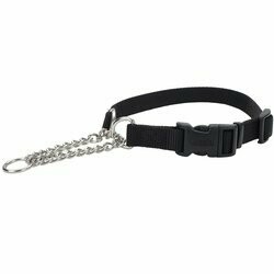 Check Training Adjustable Collar With Buckle Black Dog 1In X22-29In