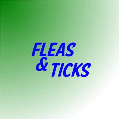 FLEAS AND TICKS