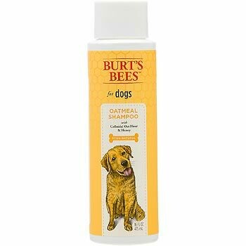 Burt&#39;s Bees Oatmeal Shampoo for Dogs - 16oz