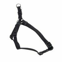 Coastal Comfort Wrap Adjustable Dog Harness 1" X 26-38" Black