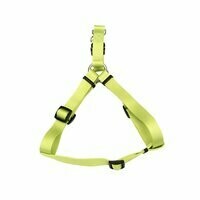 Coastal Comfort Wrap Adjustable Dog Harness 1" x 26-38" Lime