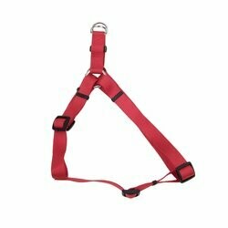 Coastal Comfort Wrap Adjustable Dog Harness - 3/8In X 12-18In XS Red