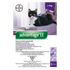 ADVANTAGE II FLEA, LARGE CAT, OVER 4KG, 4 DOSES