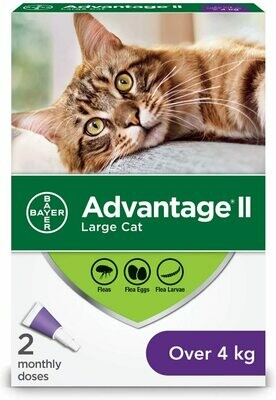 ADVANTAGE II FLEA, LARGE CAT, OVER 4KG, 6 DOSES