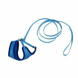 Coastal Comfort Soft Adjustable Cat Harness with 6' Leash X-Small BLUE LAGOON - 3/8in x 11-14in