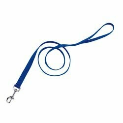 Coastal Single-Ply Dog Leash - 3/4In X 6Ft Blue