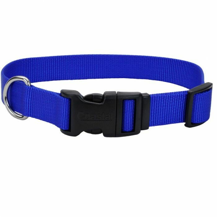 Coastal Adjustable Nylon Collar w Tuff Buckle Blue Dog 1"X18-26"