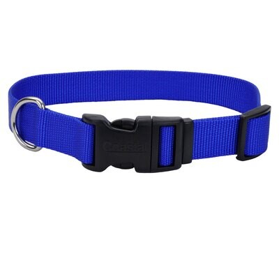 Coastal Adjustable Nylon Collar w Tuff Buckle Blue Dog 3/8x8-12in