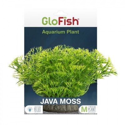 GloFish Plant Javamoss Medium