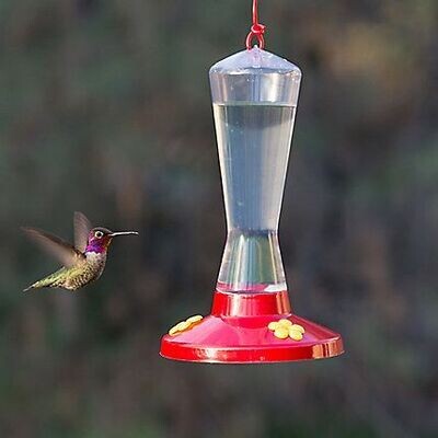 Perkys Pet Hummingbird Feeder Bird 8oz