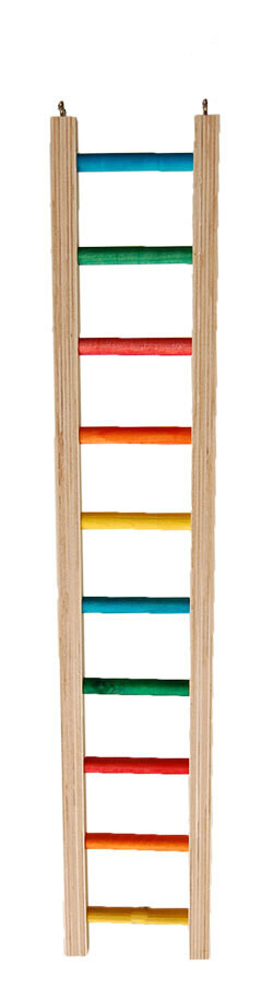 Zoo-Max Hardwood Ladder (4.50&quot; W) 2&#39; (COL)