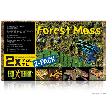 Exo Terra Forest Moss, 2 x 7 L (2 x 7 qt)