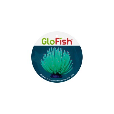 GloFish Anemone Green -Lg