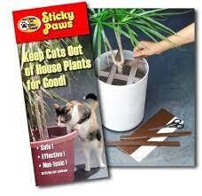 Sticky Paws - Cat Deterrent For Plants
