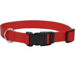 Coastal Adjustable Dog Collar With Plastic Buckle Red - 1" X 14-20"