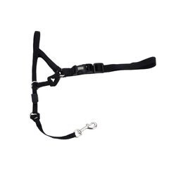 Walk N Train Head Halter - Size 2 Medium Black