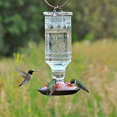 Perkys Pet Antique Clear Bottle Square Hummingbird Feeder Bird 24oz