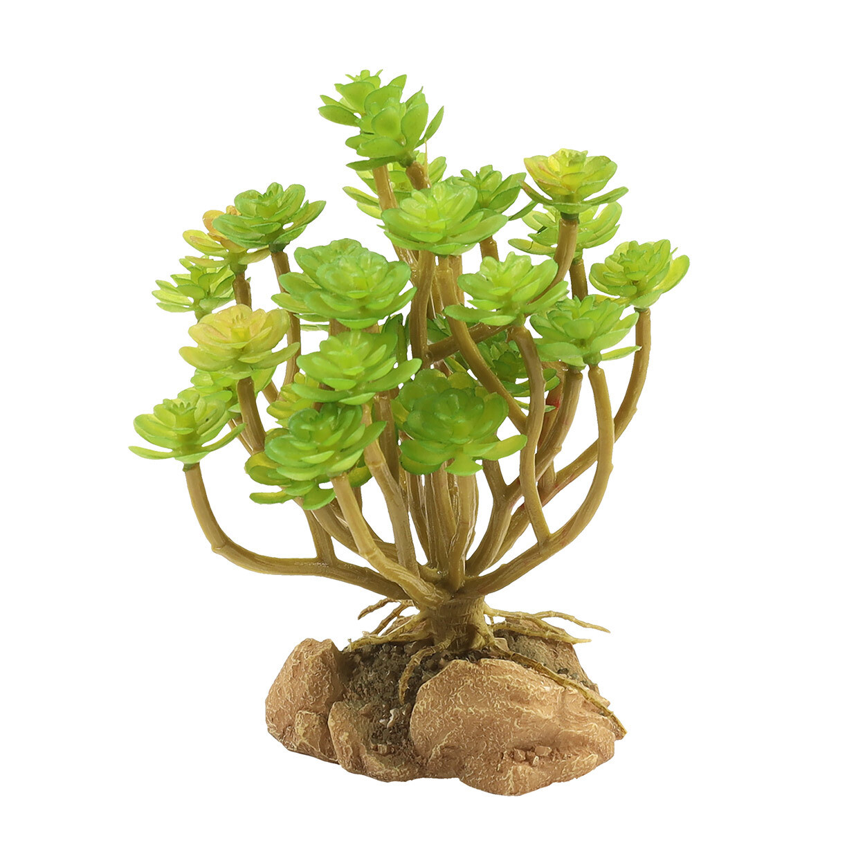 Naturalistic Desert Flora - Tree Houseleek