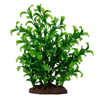 Fluval Aqualife Plant Scapes Large Bacopa Plant - 20 cm (8 in)