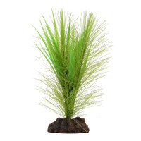 Fluval Aqualife Plant Scapes Green Parrot's Feather/ Vallisneria Plant Mix - 12.5 cm (5 in)