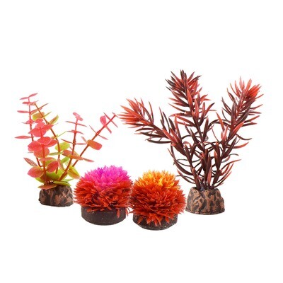 Foreground Plant Set - Red