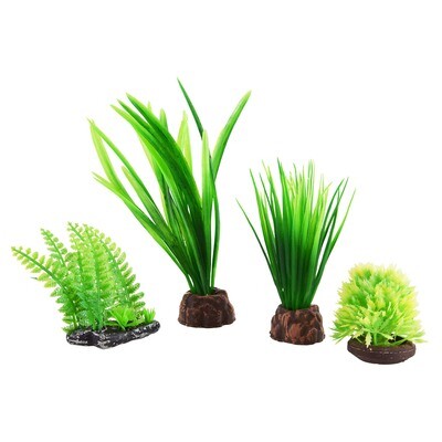 Foreground Plant Set - Green
