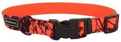 Water And Woods Blaze Adjustable Patterned Dog Collar Orange Tree Dog 1inx18-26in 1pc