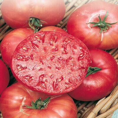 Tomato: Mortgage Lifter