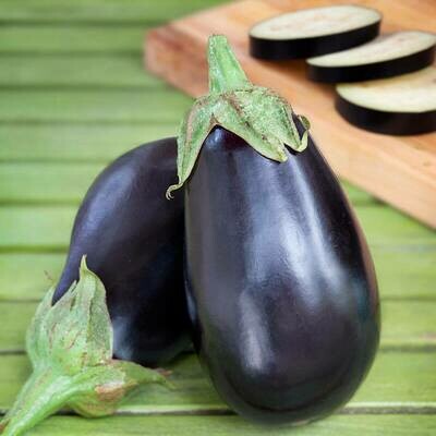 Eggplant: Black Beauty