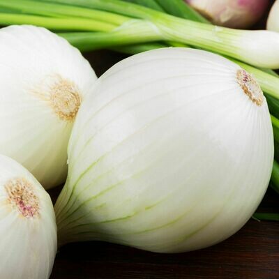 Onion: White Sweet Spanish