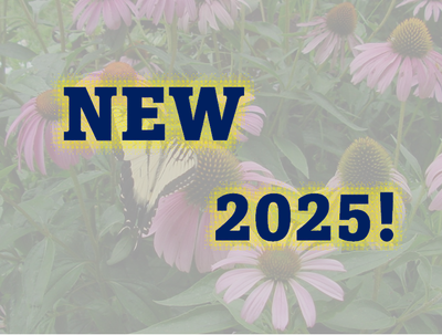 NEW 2025!