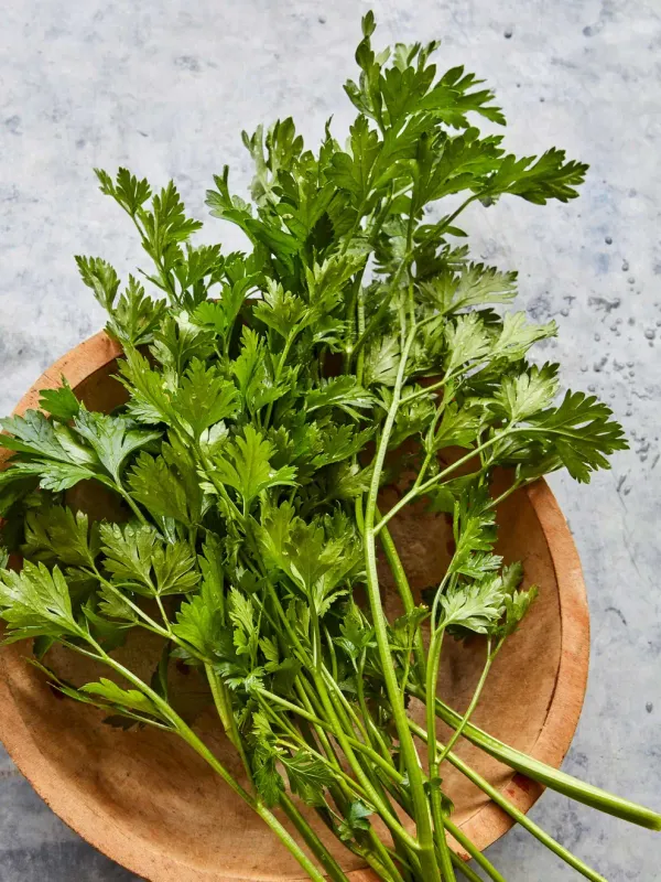 Parsley: Italian Plain