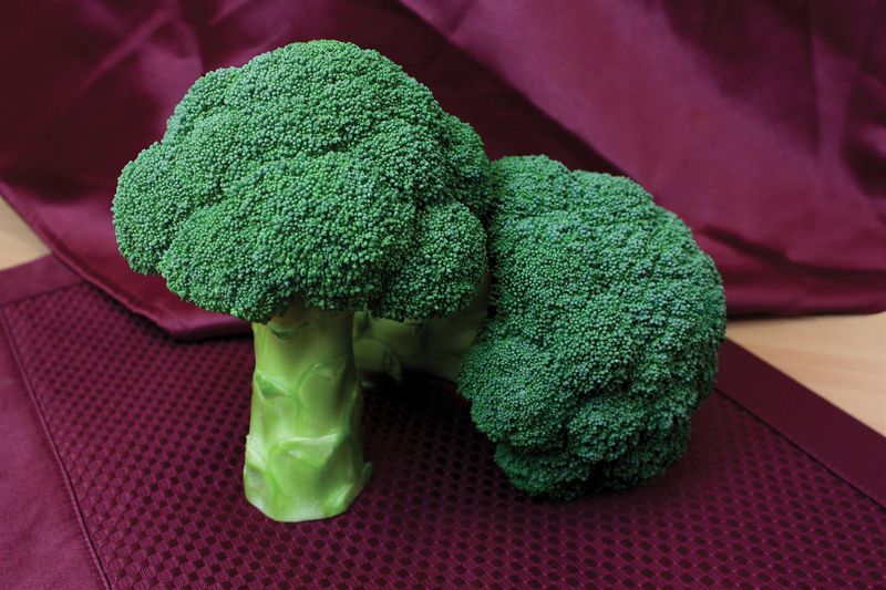 Broccoli: Destiny