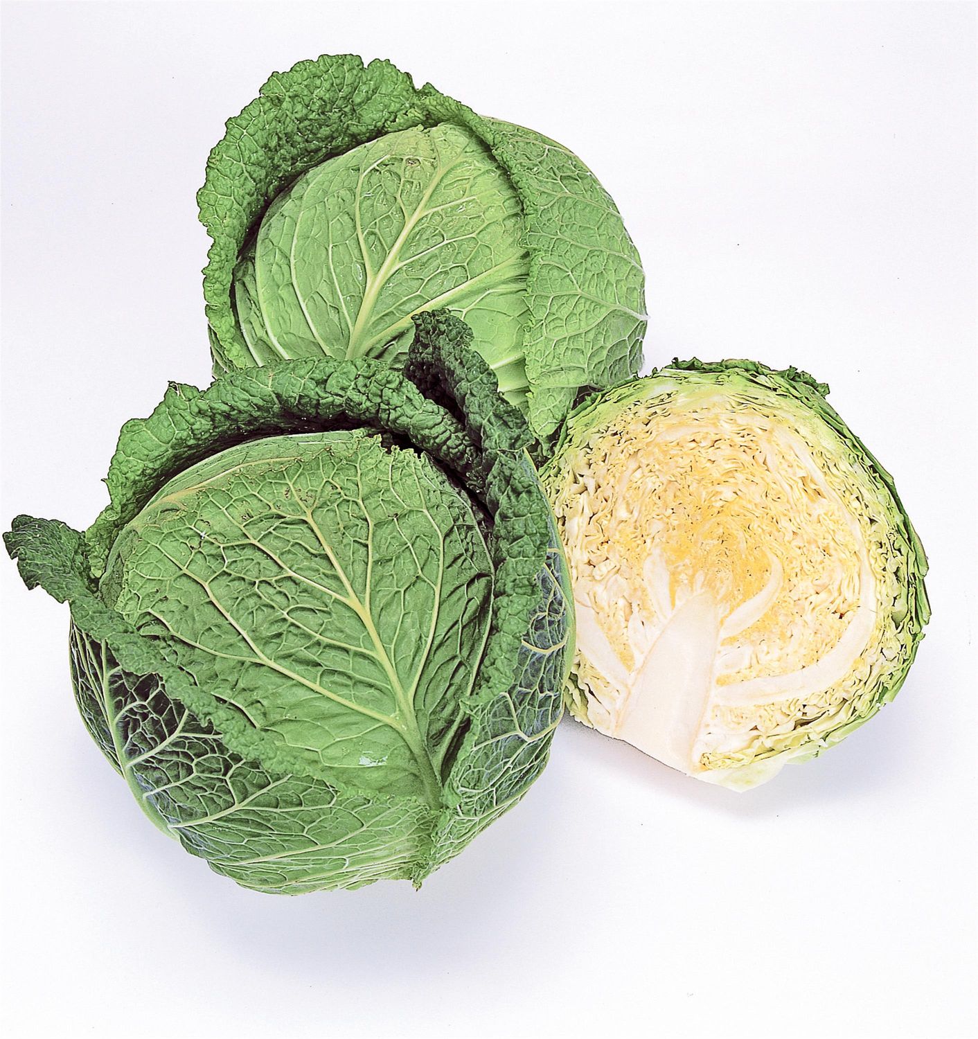 Cabbage: Savoy Ace