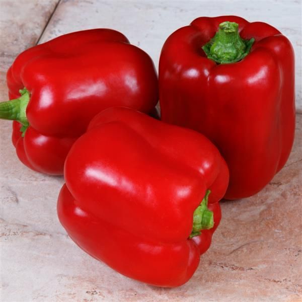 Pepper: Big Red