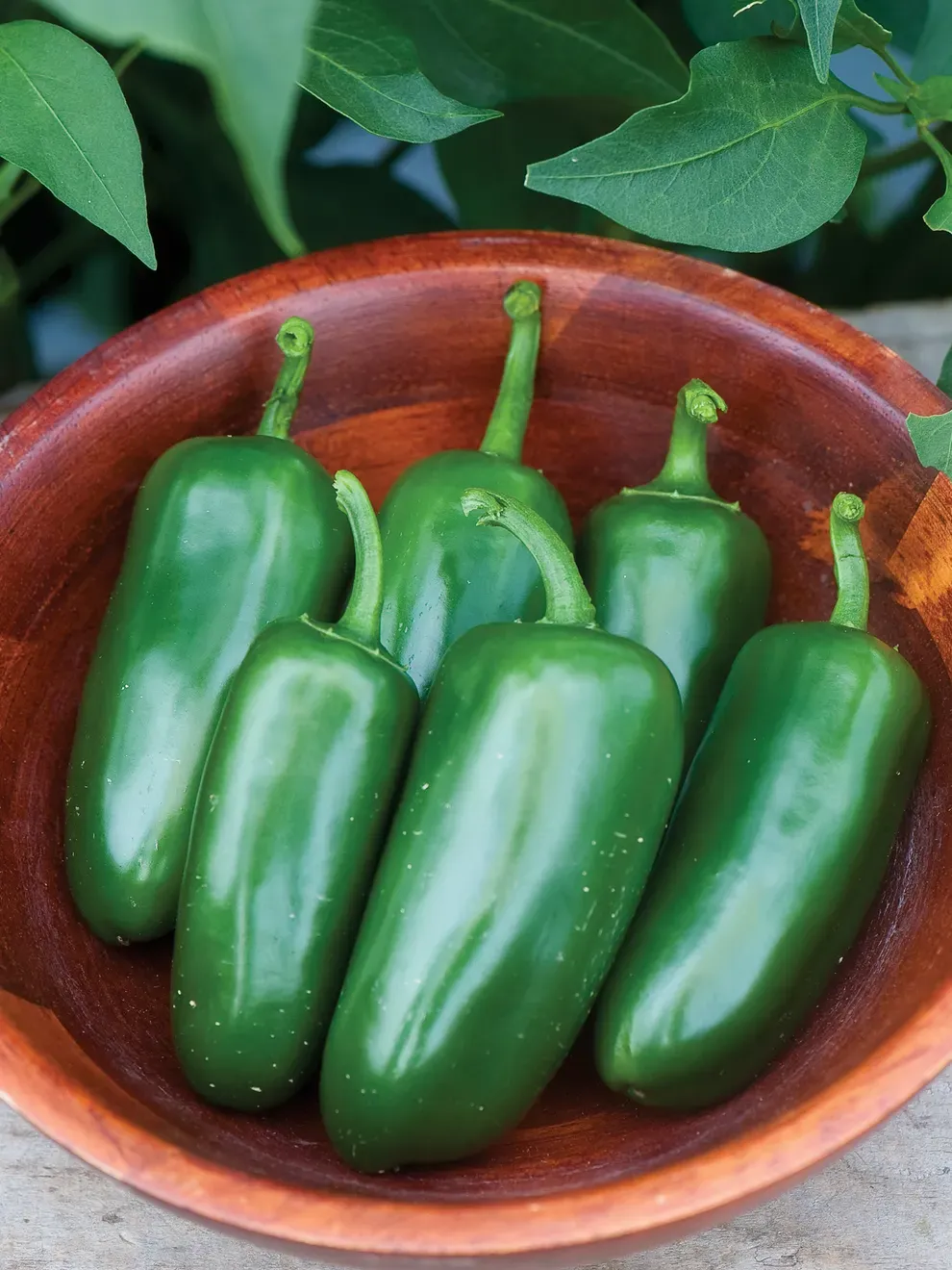 Pepper: Jalapeno