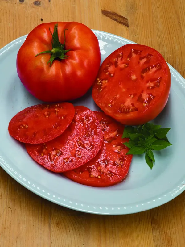 Tomato: Ball&#39;s Beefsteak