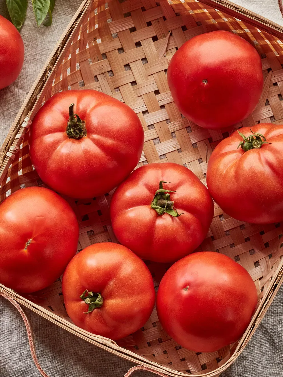 Tomato: Early Girl