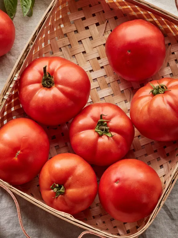 Tomato: Early Girl